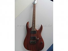 Gitarre Vorderansicht