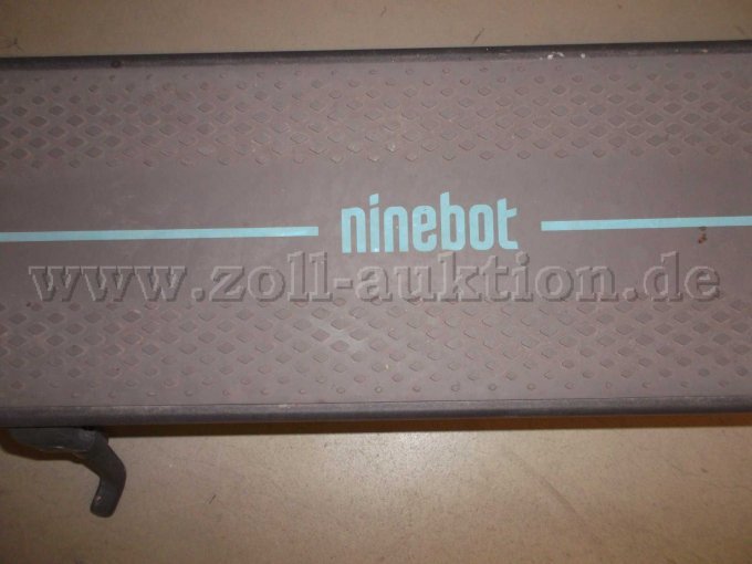 Trittbrett Kick-Scooter NINEBOT Max