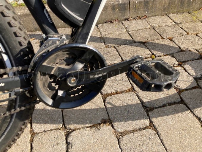 Kurbelarm, Pedal und Kette (rechts)