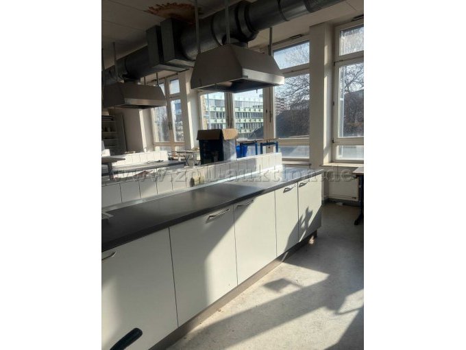 Blick in die Küche mit Arbeitsbereich im Vordergrund. (Lüftung an der Decke gehört nicht zur Auktion)