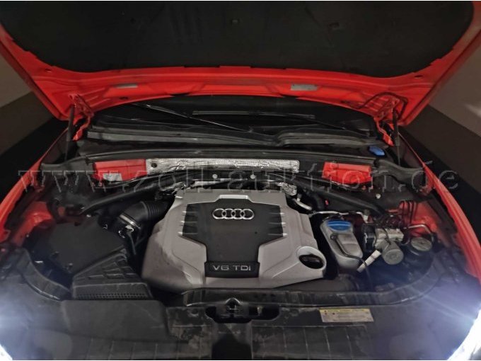 Motorraum