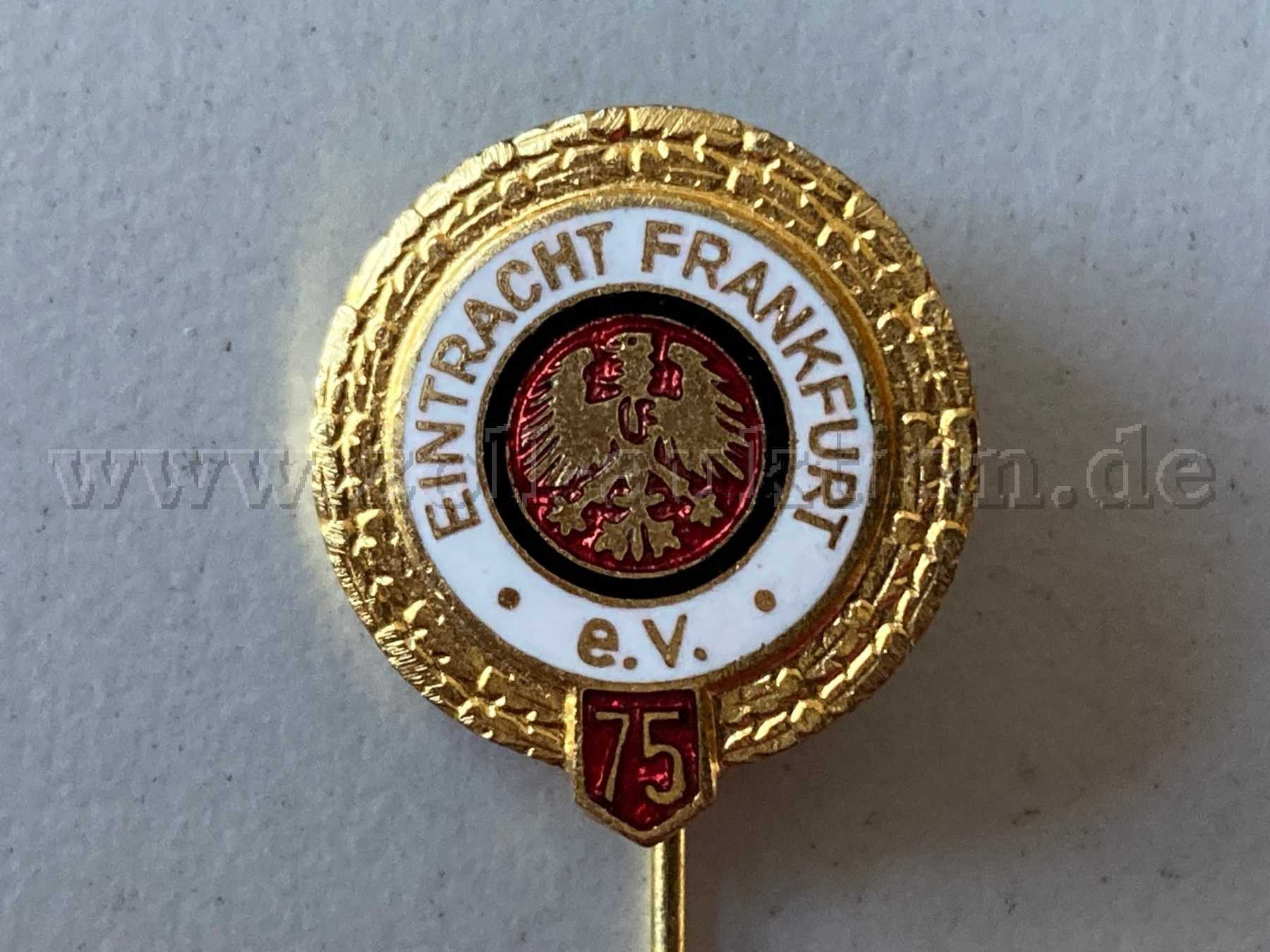 Großaufnahme Pin