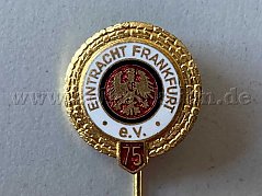 Großaufnahme Pin