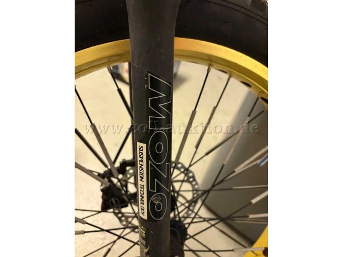 1 elektrische fiets „eStallion High“, framemaat 52 cm – foto 7 – kavel bij Zoll-Auktion, Wesendorf