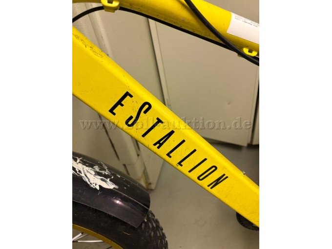 1 elektrische fiets „eStallion High“, framemaat 52 cm – foto 8 – kavel bij Zoll-Auktion, Wesendorf