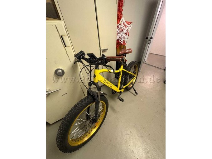 1 elektrische fiets „eStallion High“, framemaat 52 cm – foto 15 – kavel bij Zoll-Auktion, Wesendorf