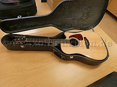Gitarre im Koffer