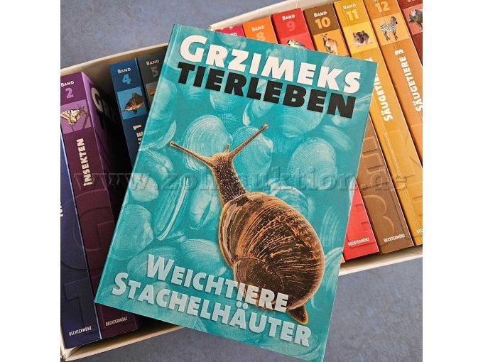 Band 3, Weichtiere-Stachelhäuter