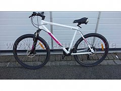 Fahrrad, Seitenansicht
