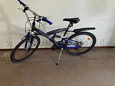 Das Fahrrad