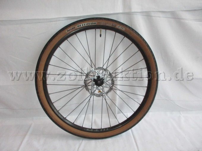 Ansicht Vorderrad mit Scheibenbremse, Vorderrad nicht befestigt