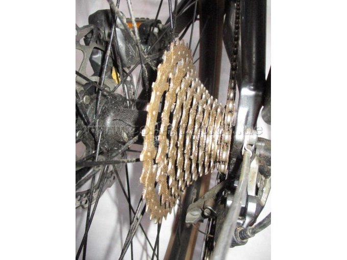 Teilansicht Hinterrad mit Zahnräder