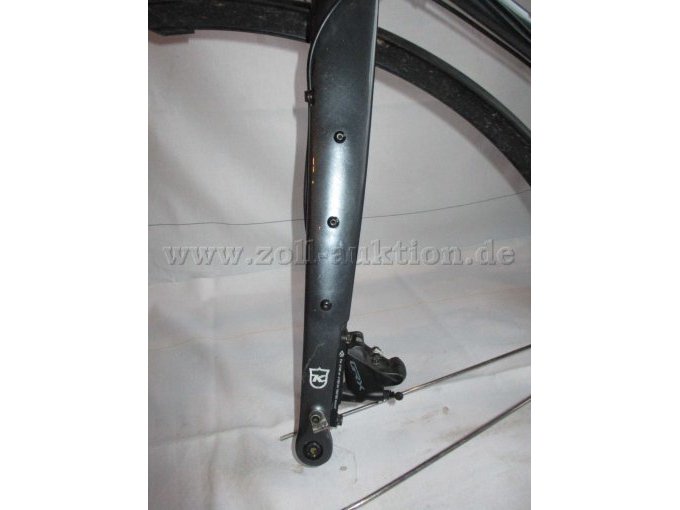 Ansicht Vorderradgabel mit GRX Bremssattel