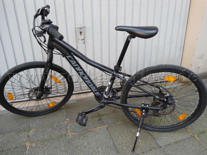 Gesamteindruck