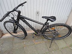 FOCUS Mountainbike