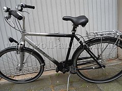 Gudereit Herrenrad