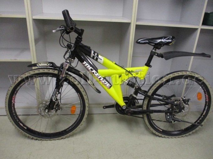 Seitenansicht und Sattel mit Rissen