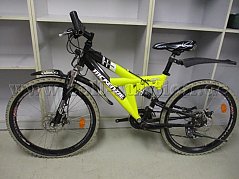 Seitenansicht und Sattel mit Rissen