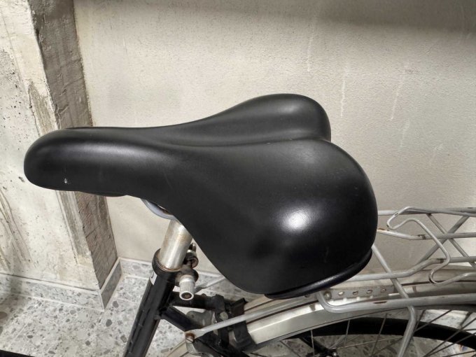 Gelsattel Selle Royal