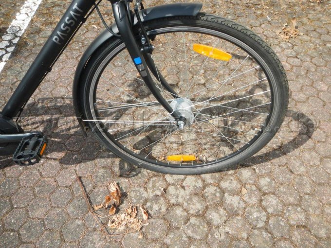 Ansicht Rad vorne