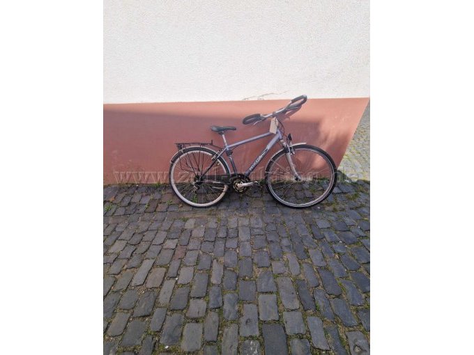 frontal gesamtes Fahrrad