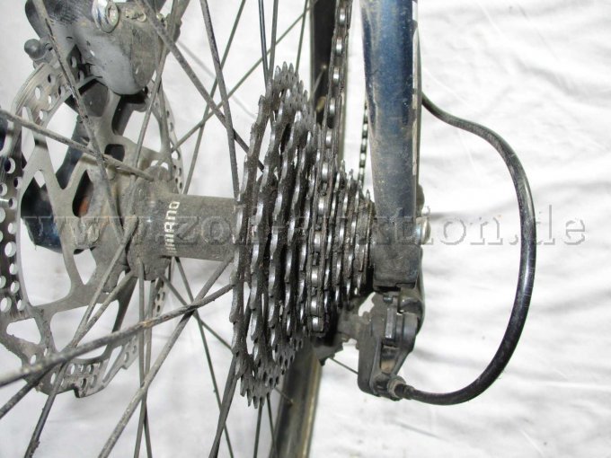 Ansicht Zahnräder am Hinterrad