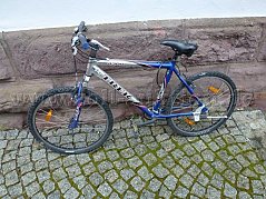 Fahrrad von der Seite mit Lenker, Vorderrad, Rahmen, Sattel, Hinterrad