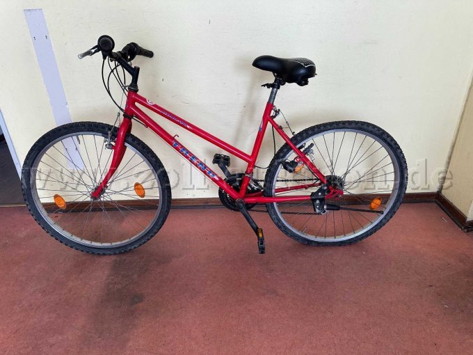 Fahrrad Trend Dynamic