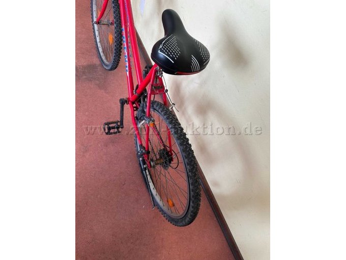 Fahrrad von hinten