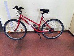 Fahrrad Trend Dynamic