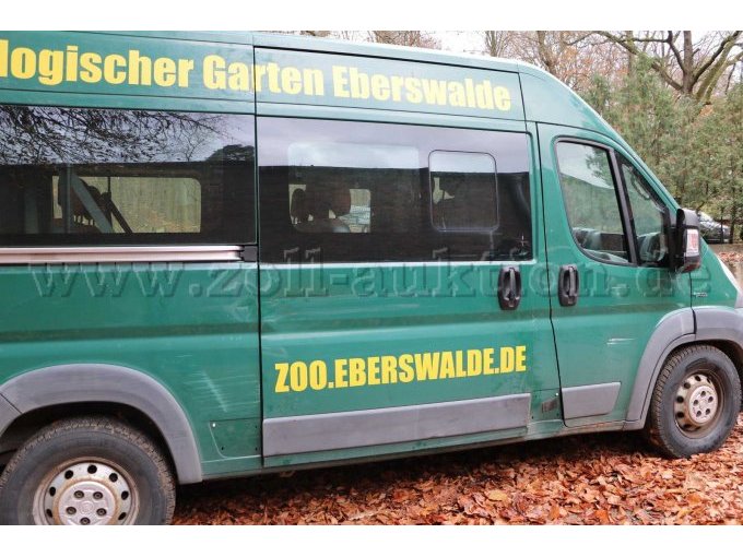 Seitenansicht Schiebetür Beifahrerseite