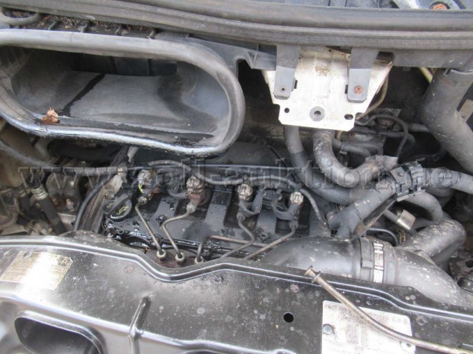 AGR Anlage undicht Ölverlust Motor