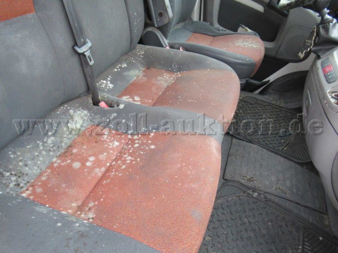 Innenraum Sitze, Schimmel