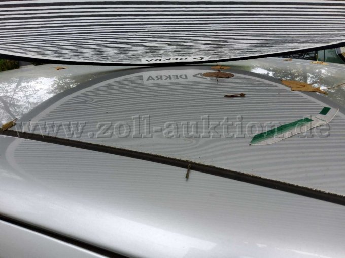 Dellen an Dach und Dachholm