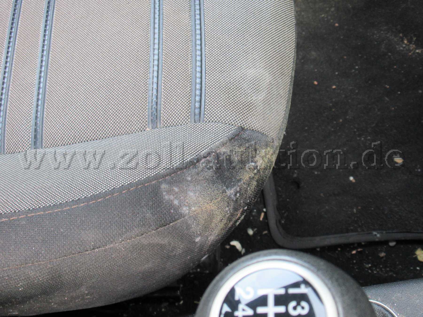 Fahrersitz Schimmel