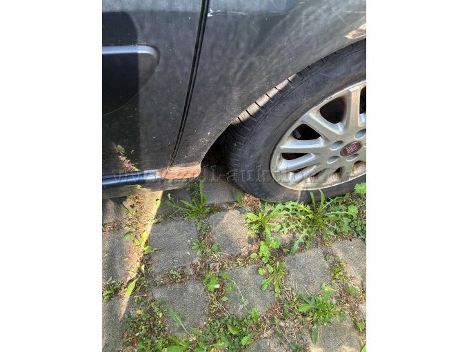 Roststelle Kotflügel hinten links