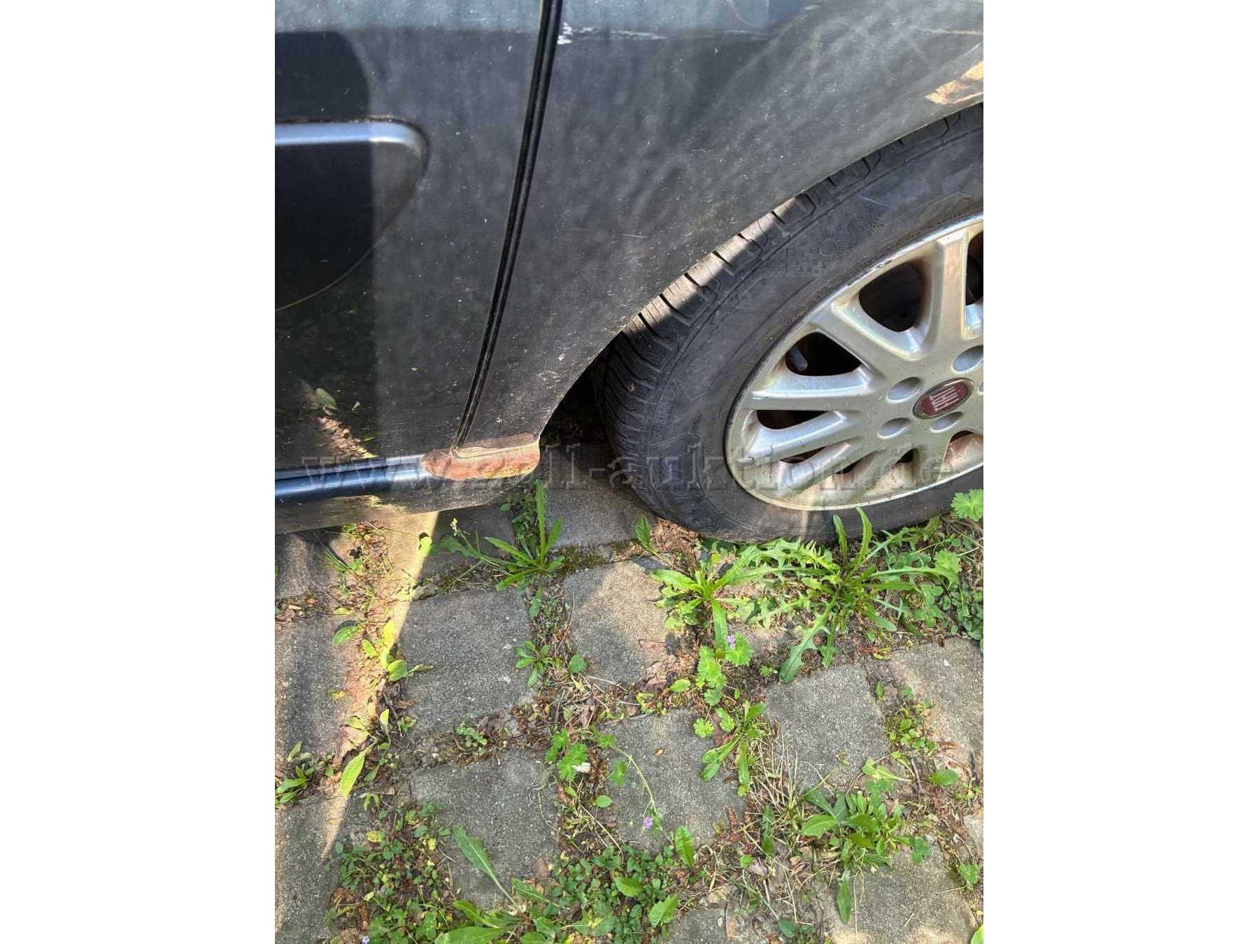 Roststelle Kotflügel hinten links