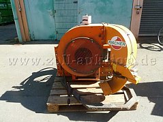 Vorne