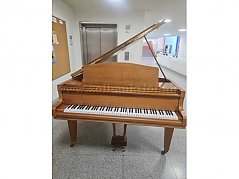 Frontalansicht geöffnet