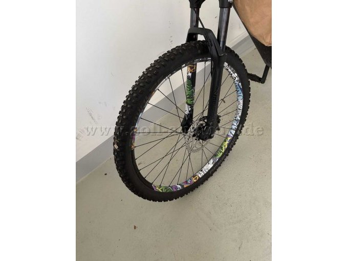 1 Focus Mountainbike Thron 2 29 inch (M) e-bike – foto 5 – kavel bij Zoll-Auktion, Arnstadt