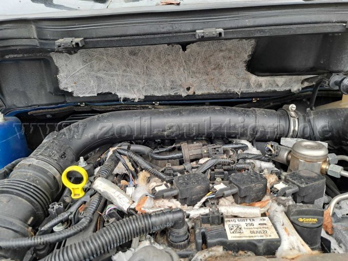 Marderschaden Motor 2