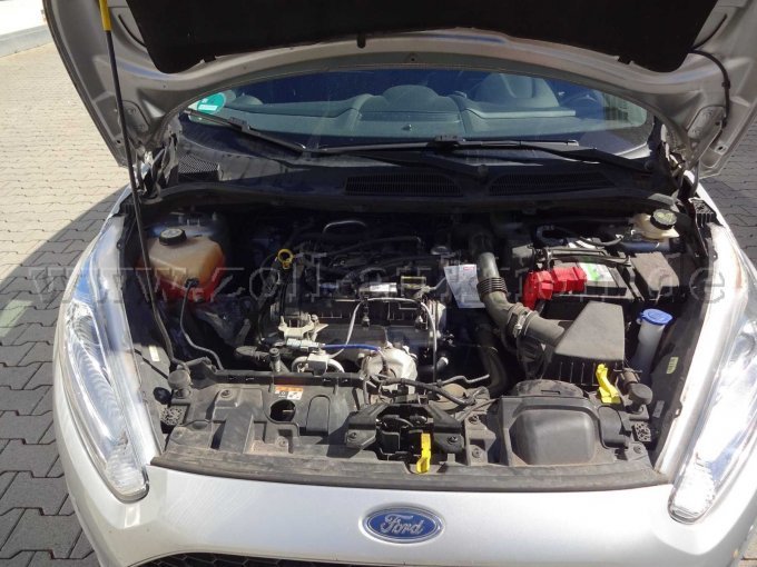 Motor