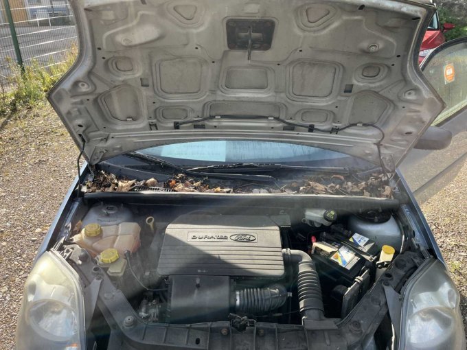1 Ford Fiesta / Basis (Bastlerfahrzeug) – foto 9 – kavel bij Zoll-Auktion, Erfurt