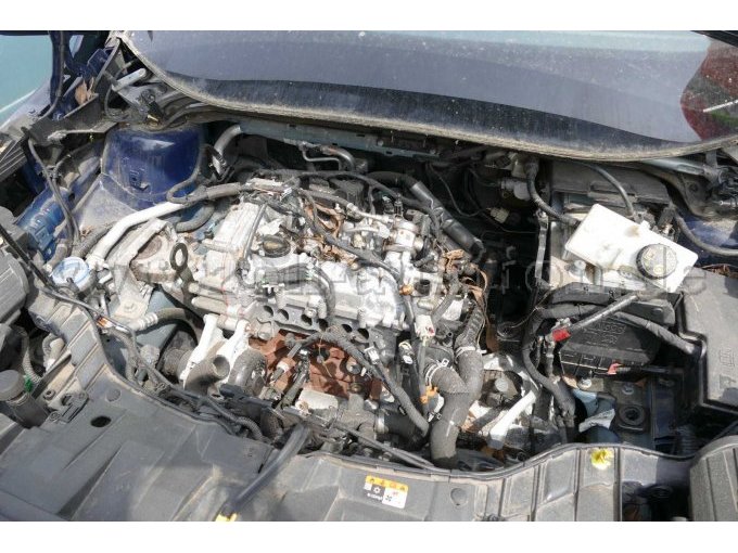 Motor