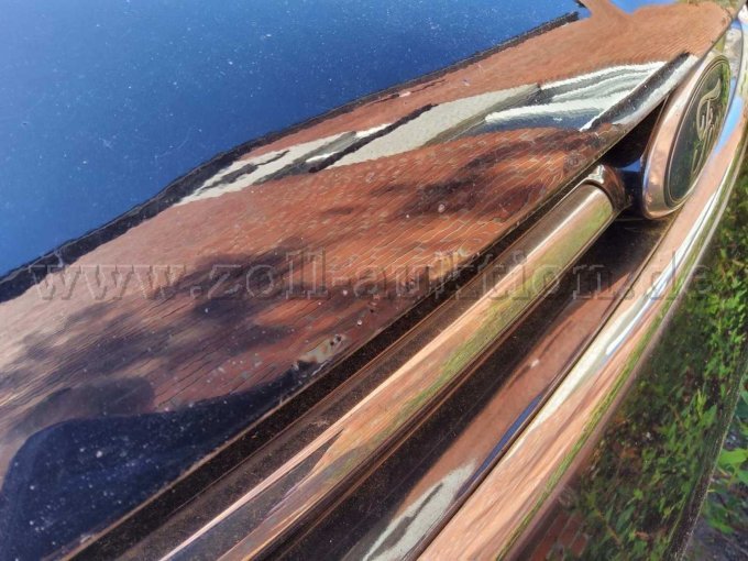 Motorhaube Rostnest