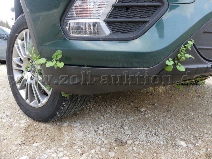 Grünbewuchs vorn rechts