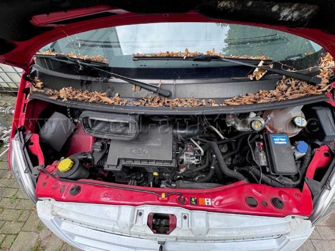 Motorraum