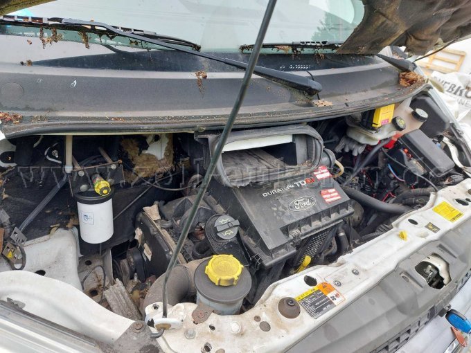 Motoransicht Rechtsseitig