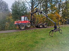 Seitenansicht links
