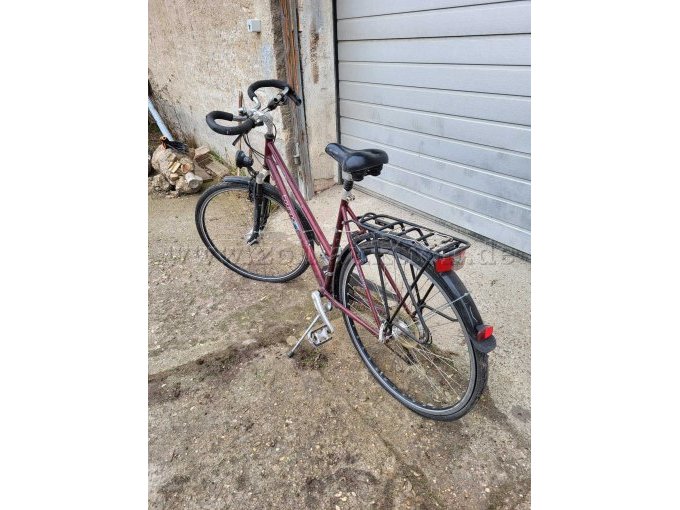 Damenfahrrad Touring Star hinten li.